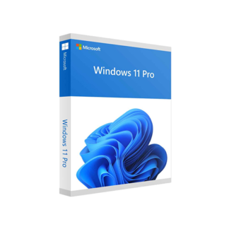 WIN 11 PRO 64BIT ENG 1PK DSP DVD - FQC-10528